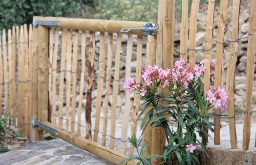 maison du olival - Foto 57