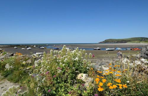 Glanduad Fawr - Foto 59