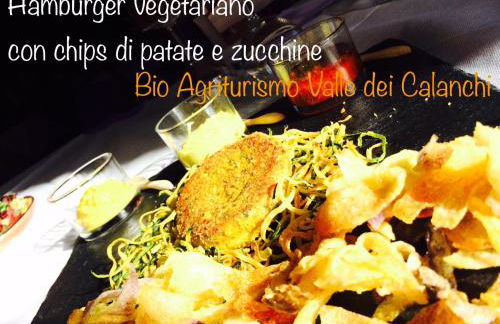 Bio Agriturismo Valle dei Calanchi - Foto 61