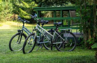 Między Sosnami - Foto 55