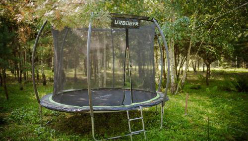 Niezapominajka - Foto 2