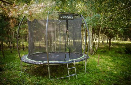 Niezapominajka - Foto 2