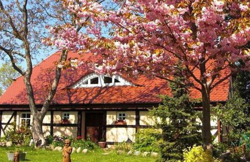 Ruegen Fewo 119 - Foto 8