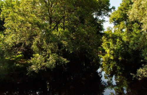 Quintinha Viçosa - Foto 67