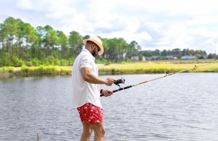 Family waterfron retreat-Near golf Beach Barefoot - Foto 4