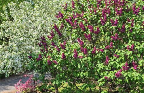 Loza house coastal design unit with lake & mountain views - Foto 44