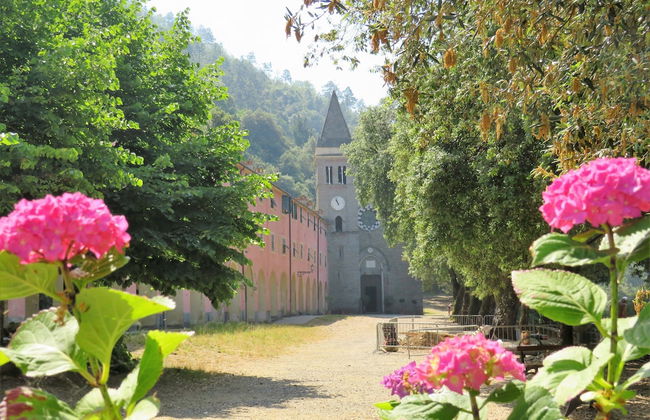 Lecci Di Soviore - Foto 31