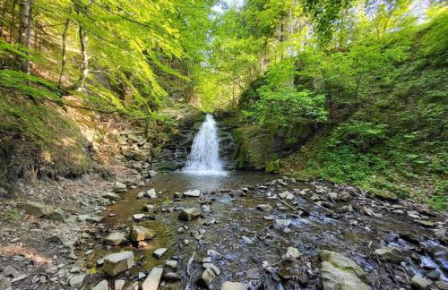 Duży drewniany domek nad rzeką, Obidza 381, Łącko - Foto 45