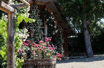 Podere La Strega - Photo 25