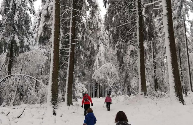 Holiday Home in the Belgian Eifel - Photo 41