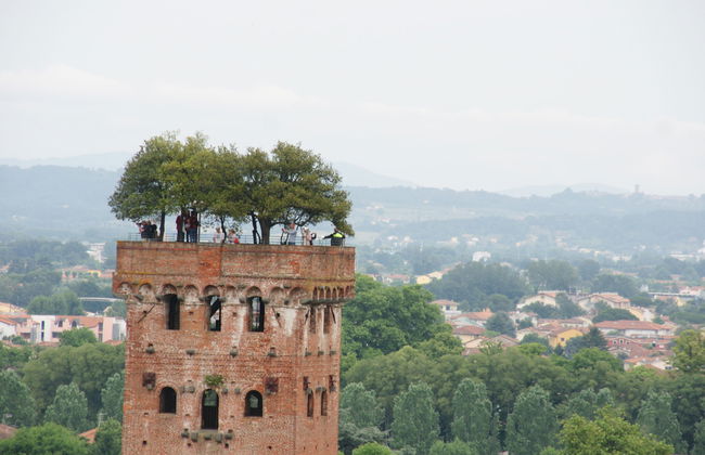 Rustico dei Canali - Foto 32