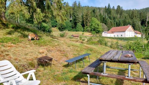 Le Refuge perché du saut de la bourrique, SPA, terrain clôturé, bordure de forêt - Foto 4