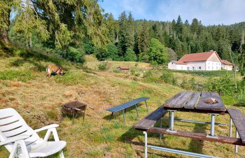 Le Refuge perché du saut de la bourrique, SPA, terrain clôturé, bordure de forêt - Foto 4