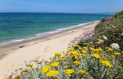 Sa Fiorida Appartamenti - Foto 48