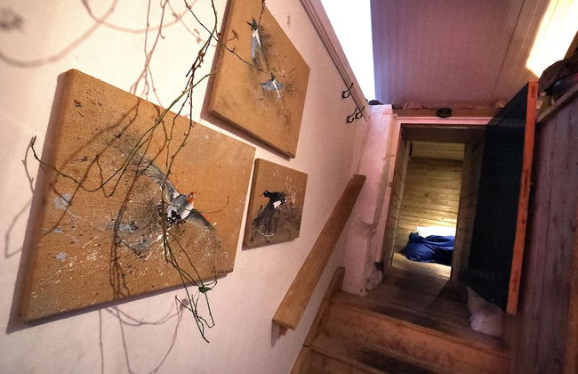 Hapus Yurt - Two Beautiful Yurts and Barn Cottage - Foto 27