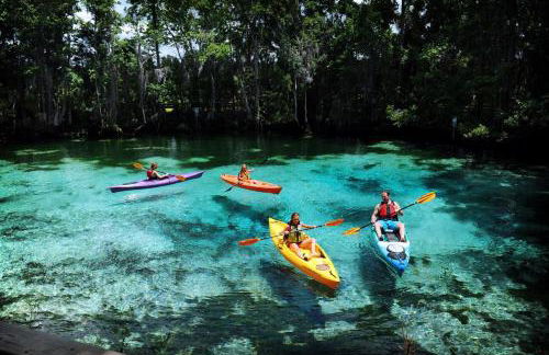 Spacious Upadated 2 King Beds Pets Welcome With Large Private and Fenced Yard Minutes to Beaches - Foto 17