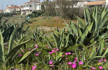 La Casetta di Elena - Foto 26