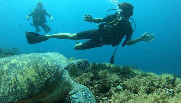 Discover Scuba Dive in Lombok - Foto 3