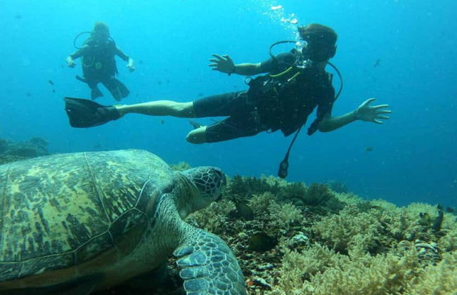 Bautismo de buceo en Lombok - Foto 3