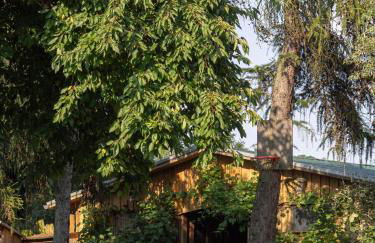 Ferienhof Bahlens-Schur - Foto 34