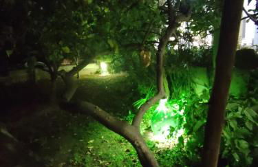 La Cecia - Casa vacanze nella campagna salentina - Foto 32