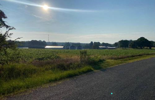 Huntersville House 3 bedrooms 2 Baths - Foto 6