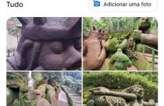 Pedra Do Imperador - Foto 21