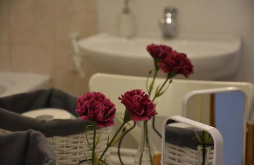 VILLA BIRIMIŠA LOPUD ISLAND - Photo 10