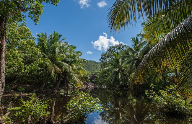 Villa Aya - Photo 37