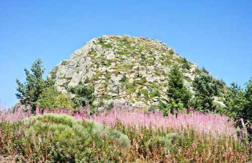 Maison charmante à Saint-Basile avec jardin et cheminée - Foto 14