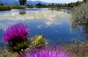 Stella's house - Foto 14