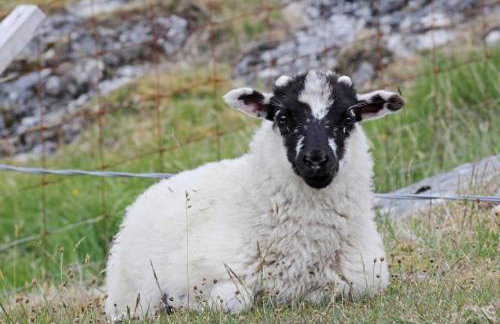 Old Post Office - Foto 30