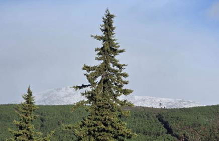 Quinta da Feteira - Conforto, Aventura, Saúde - Foto 1