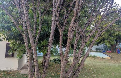 Casinha Charmosa & Rústica - Foto 38