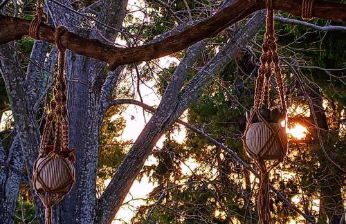 Acqua Blue Mola Kaliva resort - Foto 41