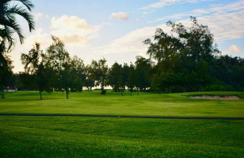 Golf Course Serenity at Turtle Bay - Photo 19