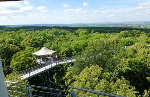 City Apartments Mühlhausen - Foto 38