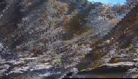 Explorando los fascinantes paisajes de la Sierra de Lobos