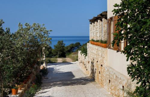 Villa Vito - Photo 35