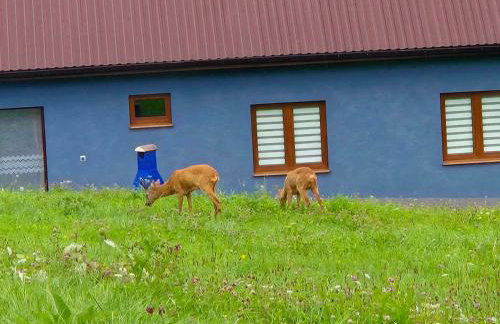 Dom Wakacyjny Cztery Pory Roku - Foto 11