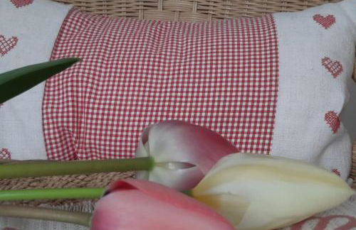 Ferienhaus-Ferienwohnung Weitblick mit Garten und malerischem Bergpanorama - Foto 13