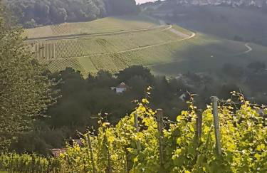 Szafranzimmervermietung - Foto 22