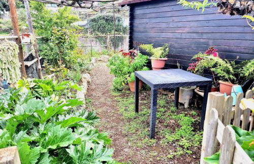 Casa Rural Teide in Icod de los Vinos - Foto 21