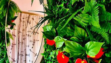 Casa Rural Bekirent - Foto 5, Garden