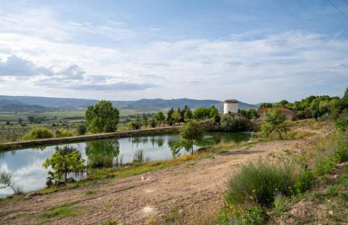 Quinta da Terrincha - Foto 39