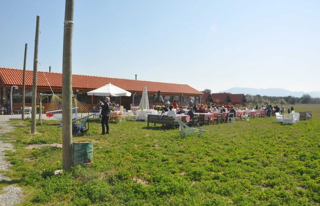 Ayvalık Sural Çiftliği Since 1899 - Foto 15