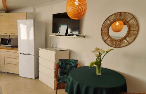 Petite étoile de Mer - Studio hyper équipé à 150m d'une plage de sable fin grande terrasse presqu'île de charme - Photo 17