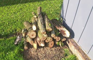 Tiny Home Baby Friendly - Foto 27