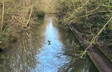 2-Bed Home with Parking, Near Airport, NEC & JLR - Foto 29