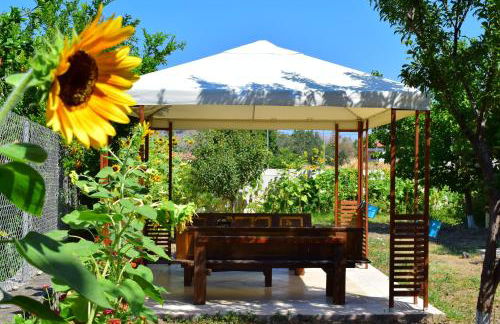 Zaira Studios - Foto 15